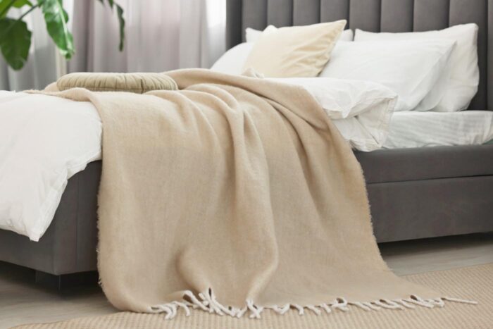 clanek-06