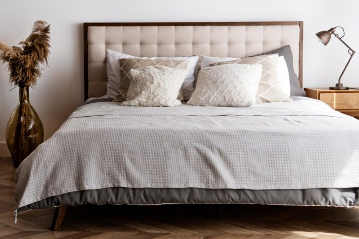clanek-10